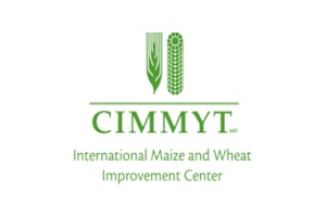 International Maize and Wheat Improvement Center - CIMMYT®